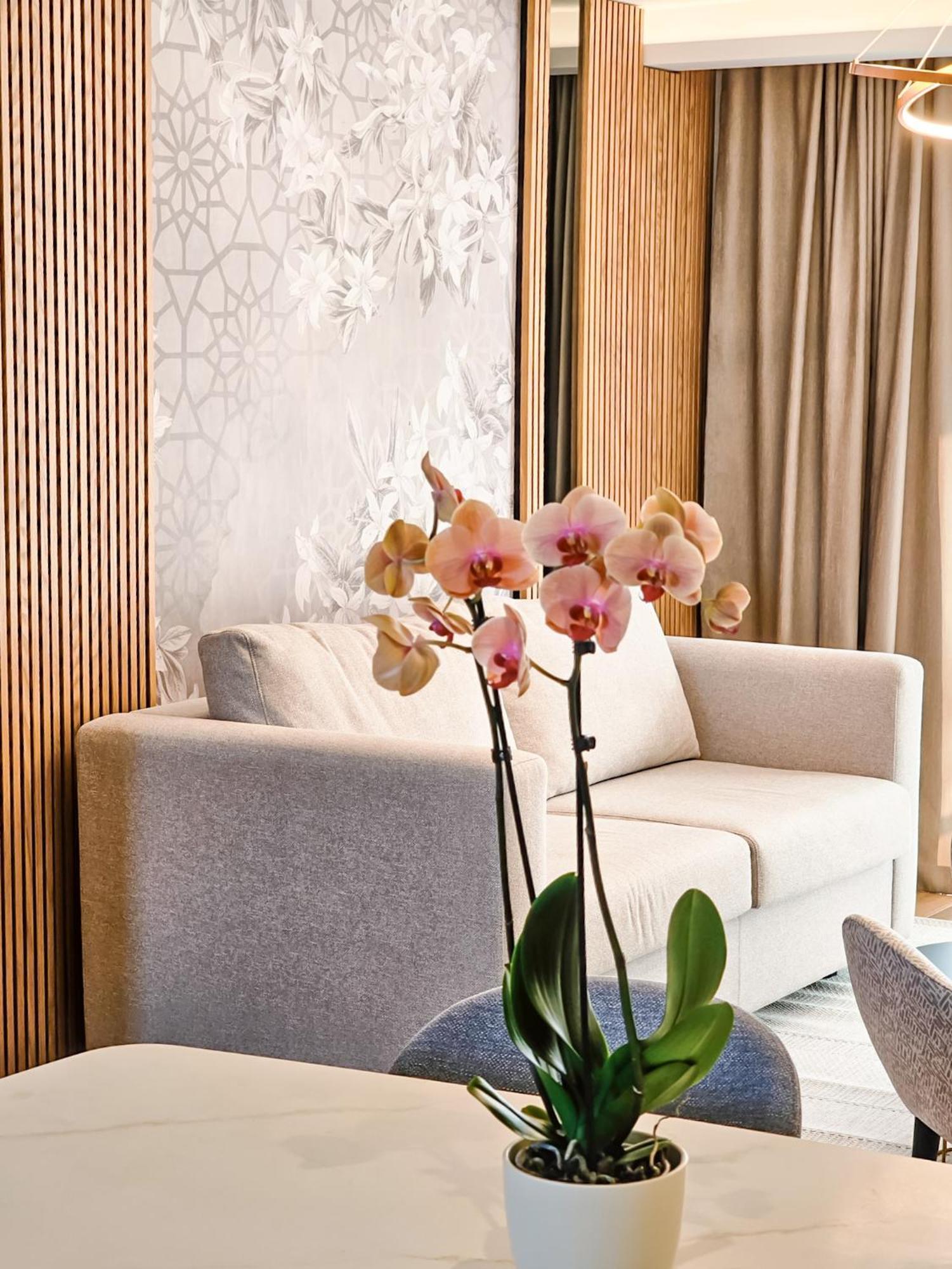 The New Hotel Mediteran - Villa Edition Улцин Стая снимка